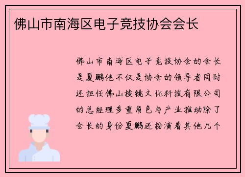 佛山市南海区电子竞技协会会长